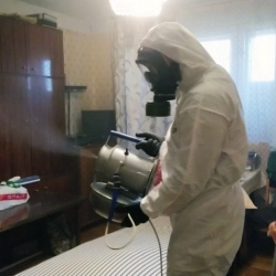Дезинфекция от клопов в Чапаевске