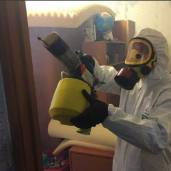 Уничтожение клопов в квартире. Чапаевск